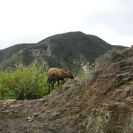 Montes De Anaga بيت شباب *