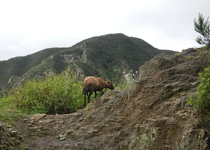 Montes De Anaga Albergue *